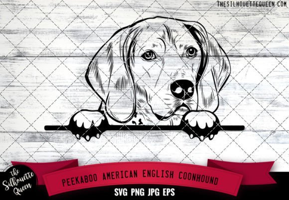 American English Coonhound Peekaboo Dog Review