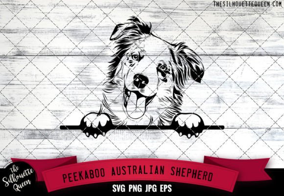 Australian Shepherd Peekaboo Dog Face Review
