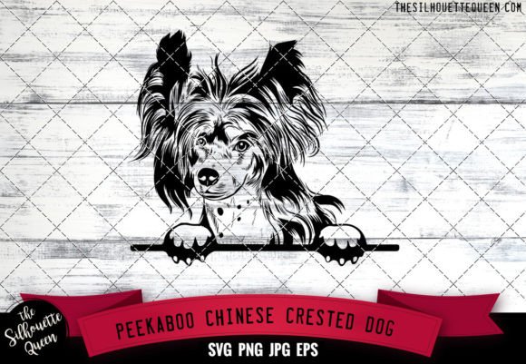 Chinese Crested Peekaboo Dog Face