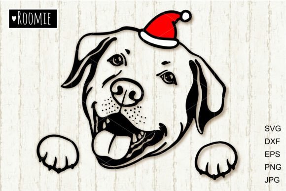 Christmas Labrador Retriever, Santa Dog: A Designer's Review