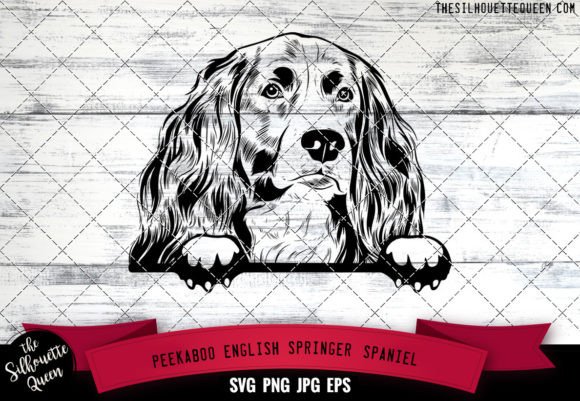 English Springer Spaniel Peekaboo Dog Fa: A Designer's Review