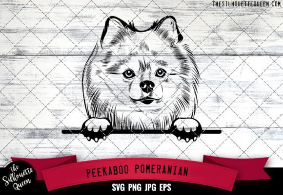 Pomeranian Peekaboo Dog Face: A Designer's Honest Review