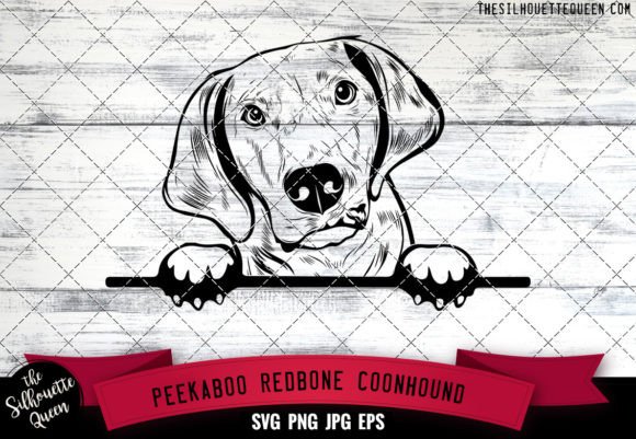 Redbone Coonhound Peekaboo Dog Face Review