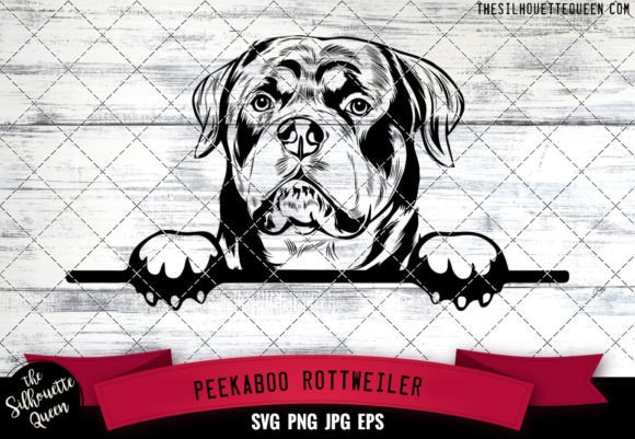 Rottweiler Peekaboo Dog Face: A Designer's Review